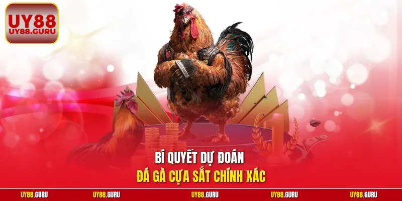 Bí quyết dự đoán đá gà cựa sắt chính xác
