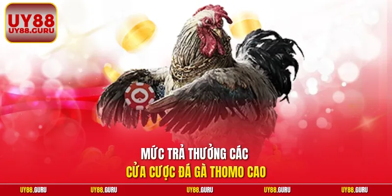 Mức trả thưởng các cửa cược đá gà Thomo cao