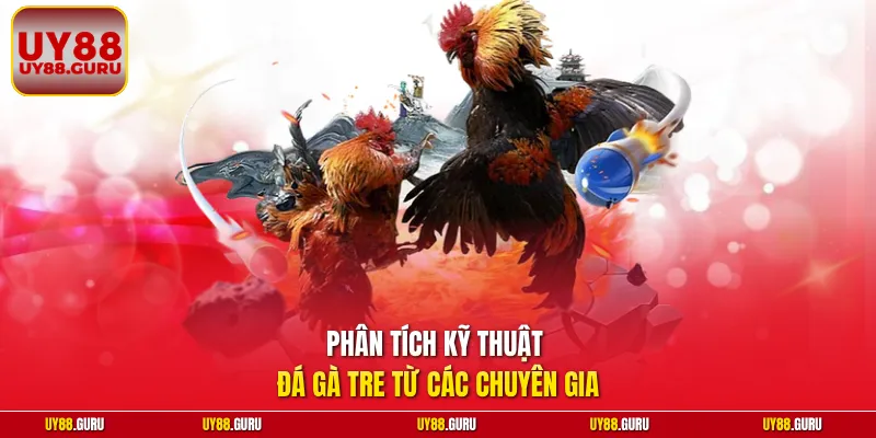 Phân tích kỹ thuật đá gà tre từ các chuyên gia