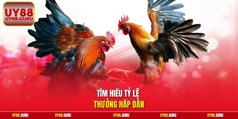 Tìm hiểu tỷ lệ thưởng hấp dẫn 