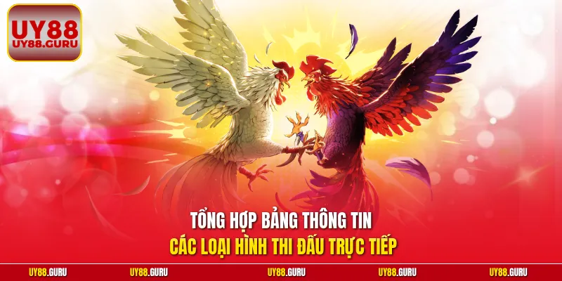 Tổng hợp bảng thông tin các loại hình thi đấu trực tiếp